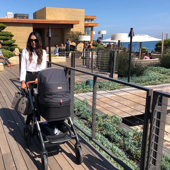 Meet your Posher, Paloma - Picture 1 of 1